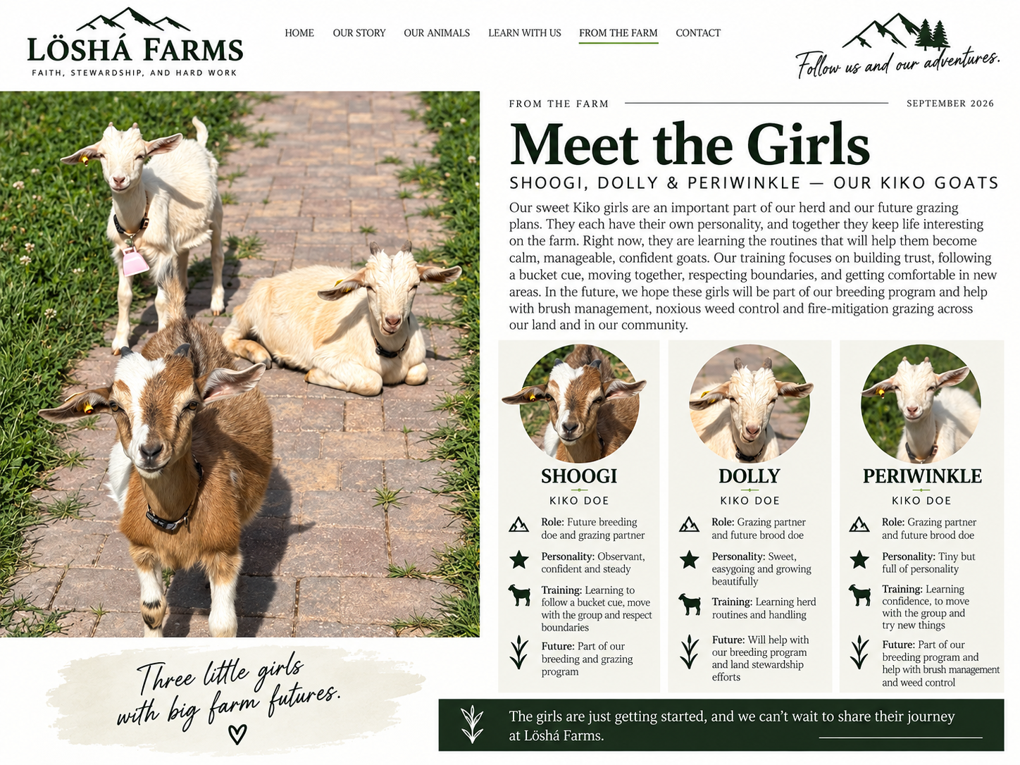 Meet the Kiko girls at Löshá Farms